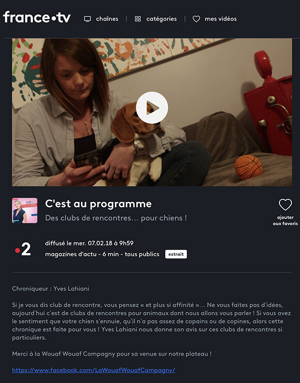 Des clubs de rencontres… pour chiens !