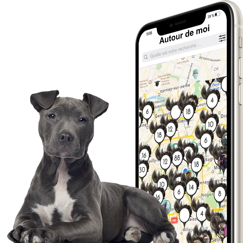 Carte interactive de géolocalisation avec plusieurs membres dans l'appli Oopet Love