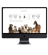 Page web www.oopet.io, hub dédié aux animaux de compagnie. Informations et conseils pour tous nos compagnons à 4 pattes