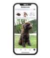 Page web www.oopetlost.com, animal perdu ou animal trouvé, carte interactive et annonces des animaux trouvés