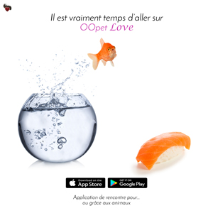 Le poisson rouge saute de son bocal pour rejoindre les autres poissons rouges