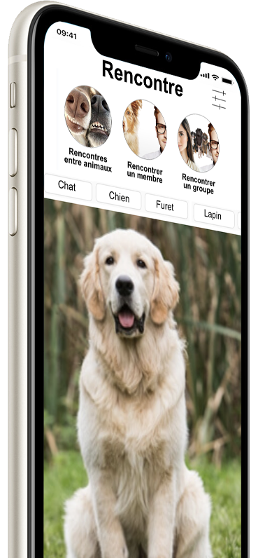 Rencontre dans l'appli oopet love